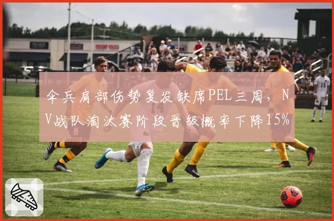 伞兵肩部伤势复发缺席PEL三周，NV战队淘汰赛阶段晋级概率下降15%