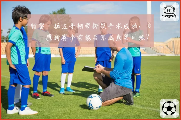 特雷·杨左手韧带撕裂手术成功,老鹰新赛季前能否完成康复训练?