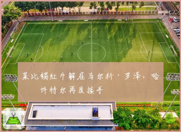 莱比锡红牛解雇马尔科·罗泽，哈森许特尔再度接手