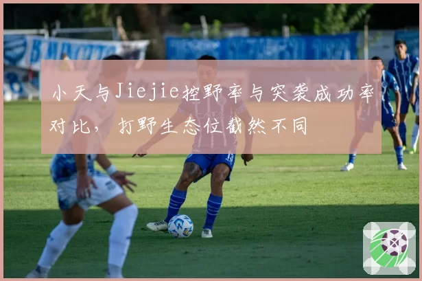 小天与Jiejie控野率与突袭成功率对比,打野生态位截然不同