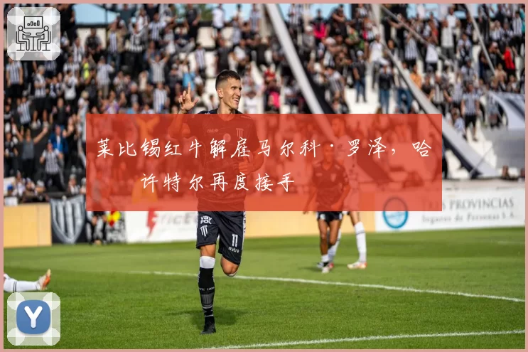 莱比锡红牛解雇马尔科·罗泽，哈森许特尔再度接手
