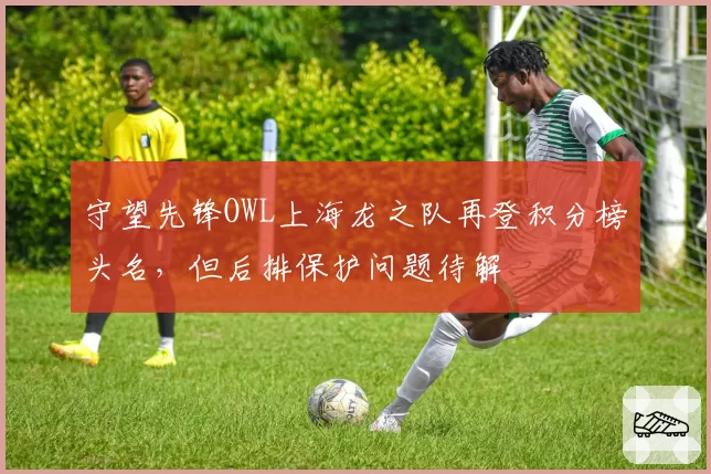 守望先锋OWL上海龙之队再登积分榜头名，但后排保护问题待解
