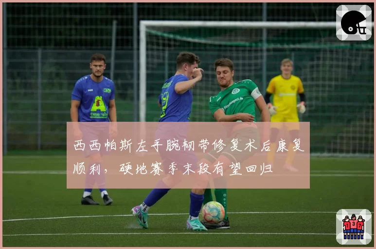 西西帕斯左手腕韧带修复术后康复顺利，硬地赛季末段有望回归